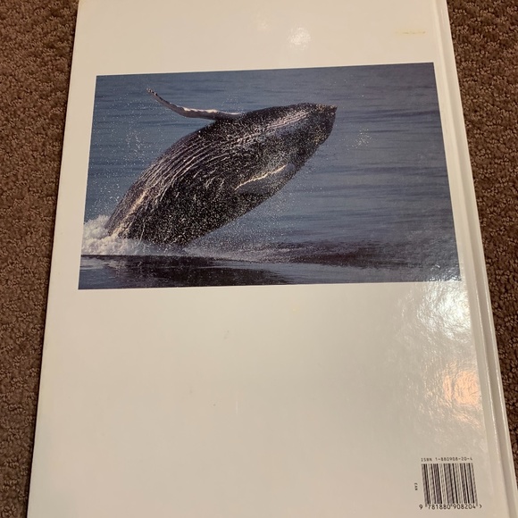 Whales & Dolphins Book (3 for $20) - Picture 2 of 8